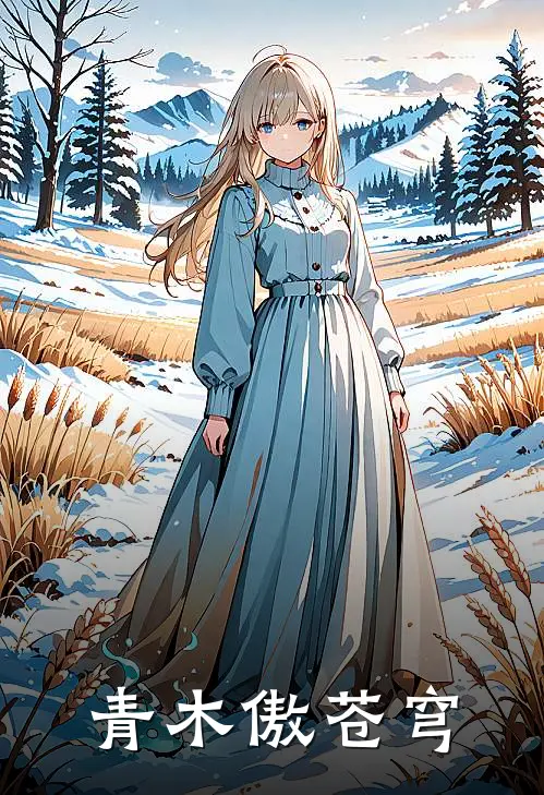 青木傲苍穹